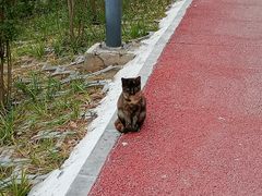 -长辛店二七公园