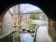 -白水寺森林公园