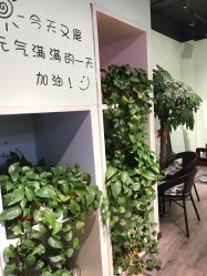 -初心HAlRSALON烫染接发