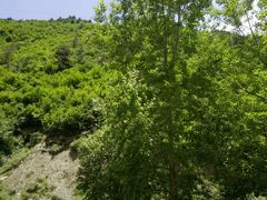 -九寨沟-树正沟