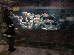 -多彩贵州城极地海洋世界