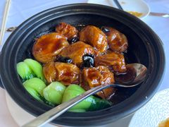 -圆苑(金茂店)