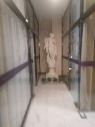 -南宁维密整形·王敦华眼鼻整复中心