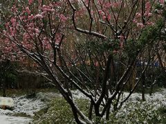 -汇龙潭
