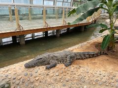 -石家庄市动物园