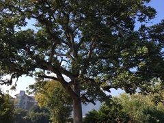 -福建鲤鱼洲酒店