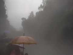 -川西竹海景区
