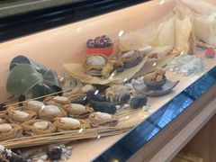 -喜上喜鸡煲翅(吉大店)