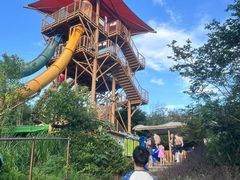 -杭州开元森泊度假乐园