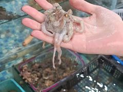 -海坛特色小吃·只做平潭特色菜(平潭店)