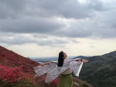 -木兰云雾山