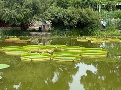 -国家植物园南园