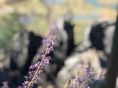 -普者黑风景区-青龙山