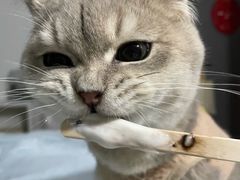 -宠颐生汉谟拉比宠物医院