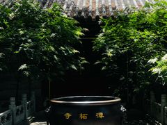 -潭柘寺景区