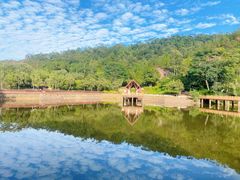 -神光山国家森林公园