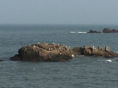 -银海大世界