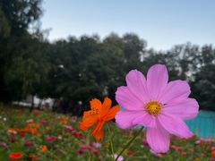 -北京世界公园