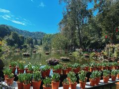 -深圳仙湖植物园