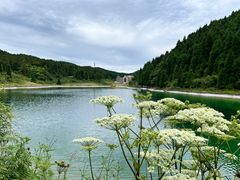 -武陵山森林公园