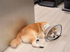 -YCHL Studios健身工作室(市二宫店)