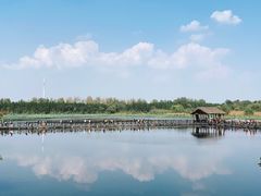 -溱湖国家湿地公园