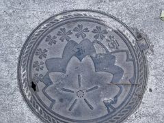 -同济大学(沪西校区)