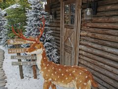 -HERRE·FARM 赫尔露营农场·团建聚会包场