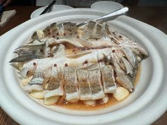 -单家老院·院子里的青岛菜(沙子口店)