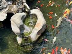 -西林禅寺