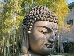-杭州植物园