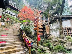 -巴倒烫陆派重庆火锅(南山店)