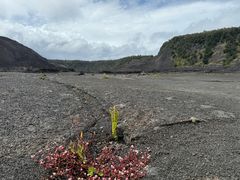 -夏威夷火山国家公园