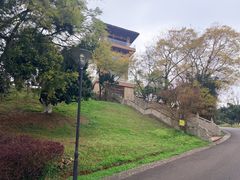 -张坝桂圆林公园