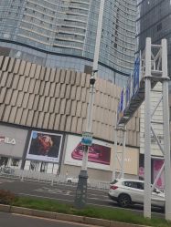 -Zoolung Zoolung动物主题公园(海信广场店)