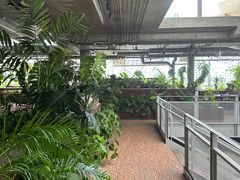 -ROAST coffee & eatery