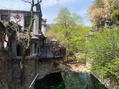 -老张烤羊(王哥庄店)