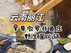 -草墩罗非鱼庄•野生菌•腊排骨(七星街上段店)