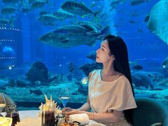 -亚特兰蒂斯•OSSIANO奥西亚诺海底餐厅