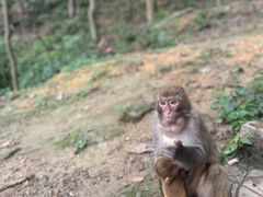 -黔灵山公园