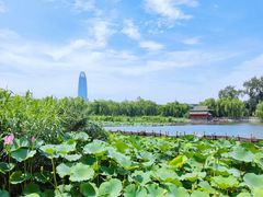 -济南大明湖景区
