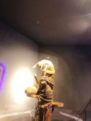 点击看大图 -未来动物城动物主题公园(大悦城店)