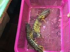 -班赞海鲜市场
