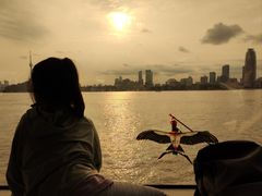 -武汉关码头(轮渡站)