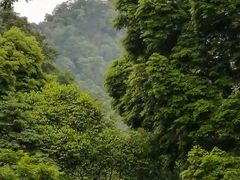 -青城山
