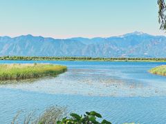 -野鸭湖国家湿地公园