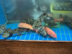 水产区-阳光码头海鲜火锅(世纪大道店)