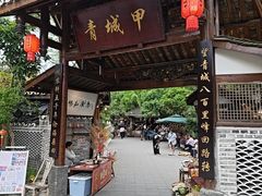 -青城甲(青城山店)