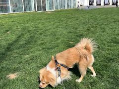 -意大利农场度假村