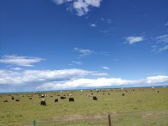 -青海湖国家重点风景名胜区